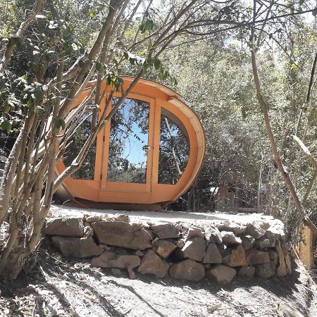 Olmué Biosfera Lodge מראה חיצוני תמונה