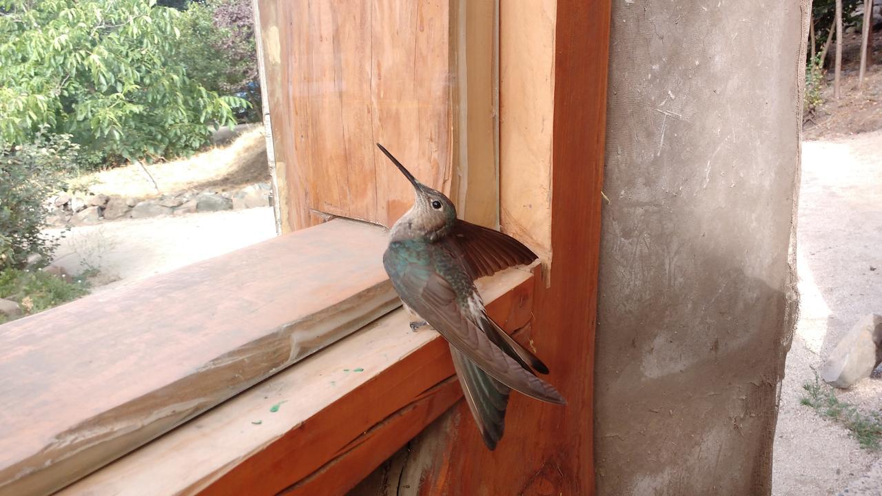 Olmué Biosfera Lodge מראה חיצוני תמונה