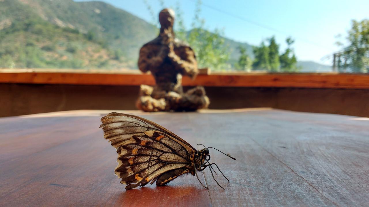 Olmué Biosfera Lodge מראה חיצוני תמונה