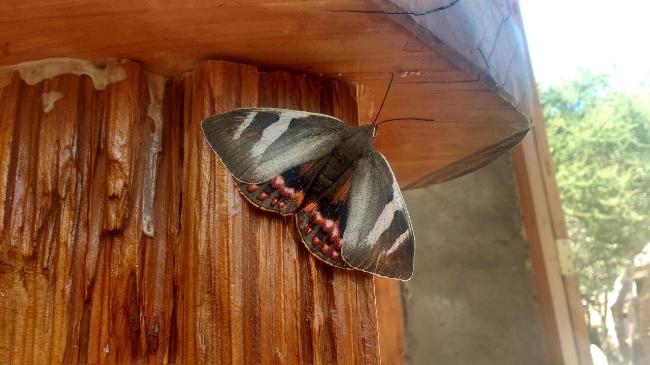 Olmué Biosfera Lodge מראה חיצוני תמונה