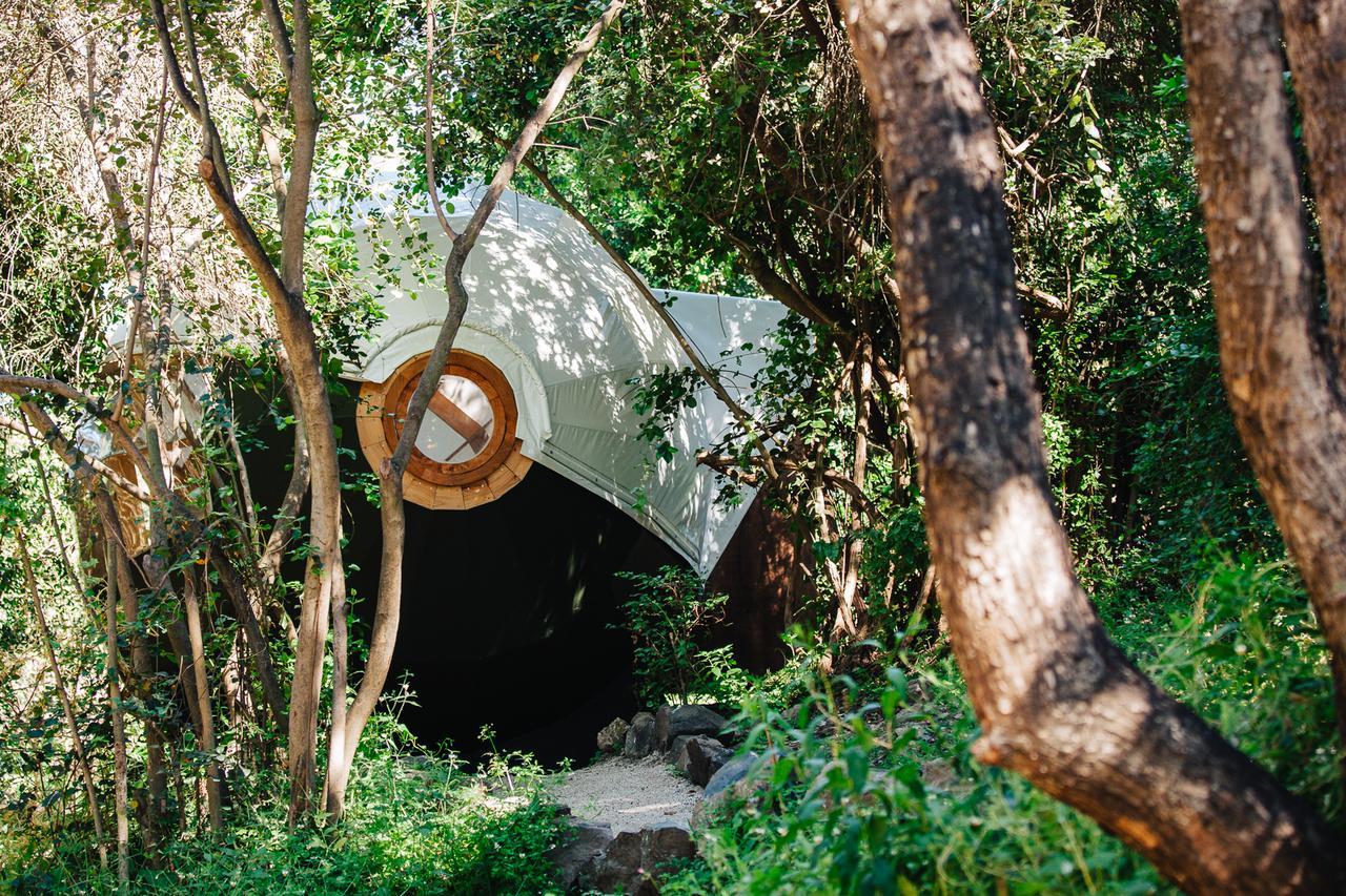 Olmué Biosfera Lodge מראה חיצוני תמונה