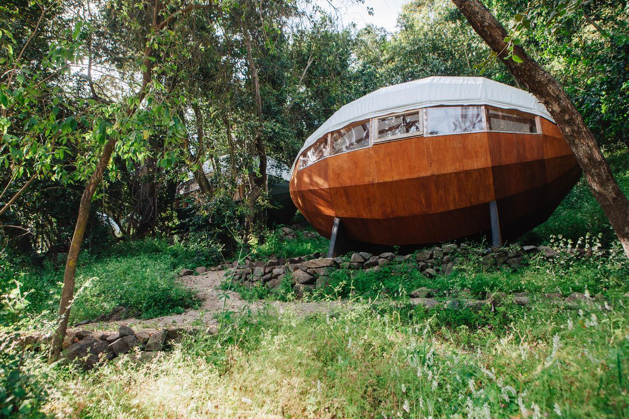 Olmué Biosfera Lodge מראה חיצוני תמונה
