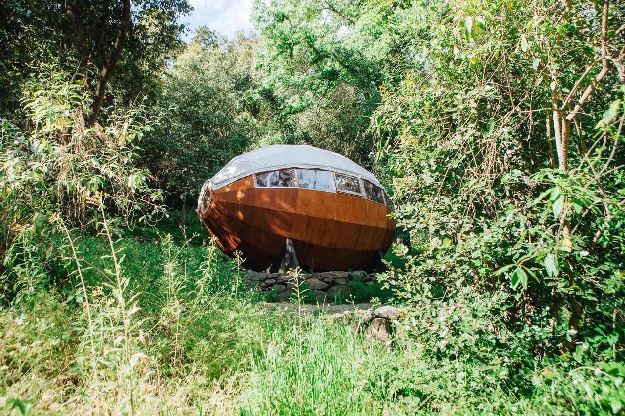 Olmué Biosfera Lodge מראה חיצוני תמונה