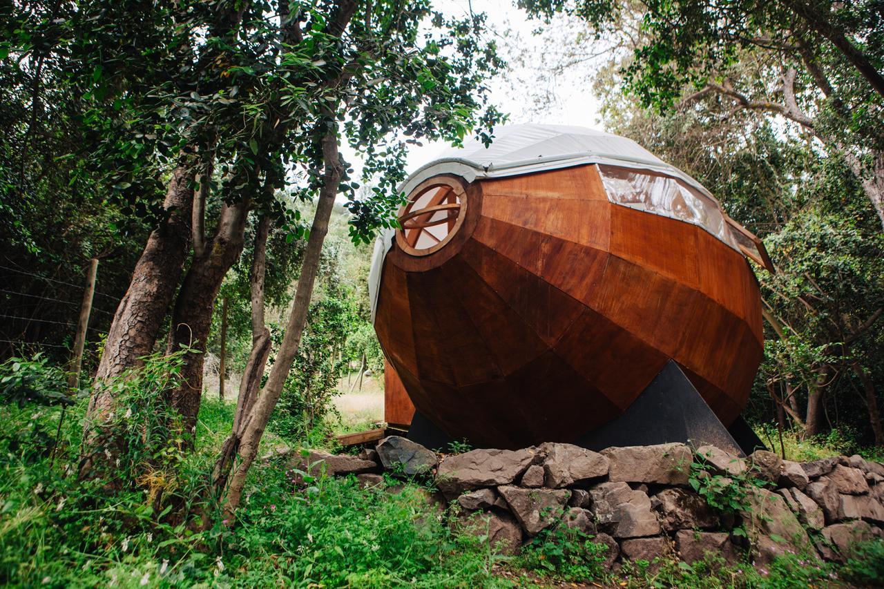 Olmué Biosfera Lodge מראה חיצוני תמונה