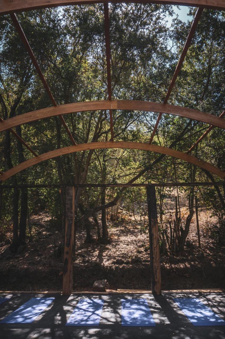 Olmué Biosfera Lodge מראה חיצוני תמונה