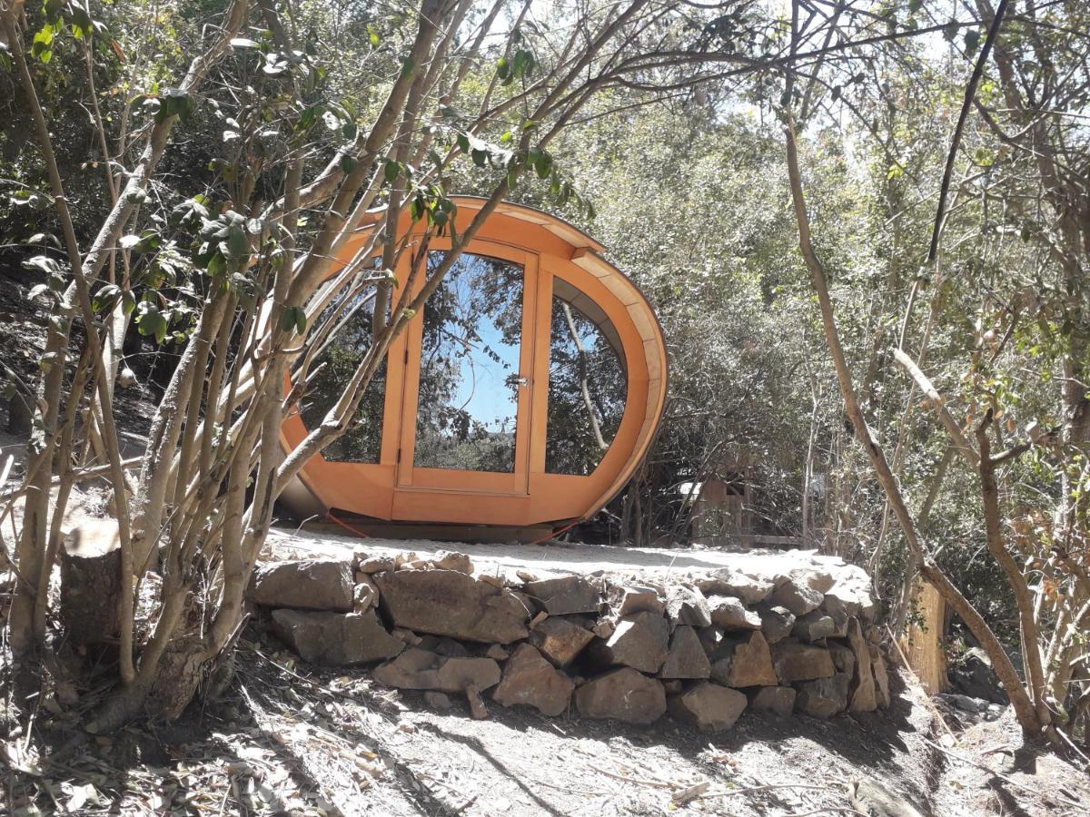 Olmué Biosfera Lodge מראה חיצוני תמונה